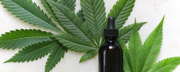 CBD