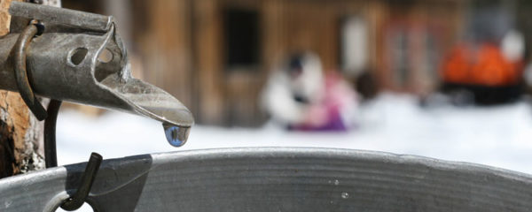 Eau d'érable